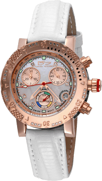 Daniel Steiger watch repair