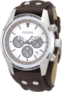 Featured image for post: Fossil
